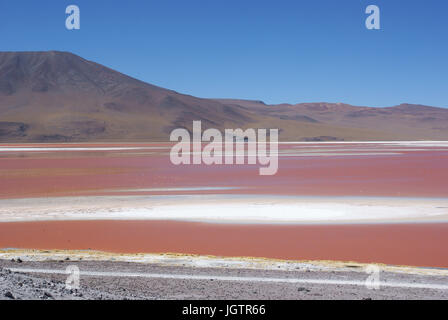 Laguna Colorada - Reserva nacional de fauna andina Eduardo Abaroa - Deserto do Lipez - Departamento de Potosi - Provincia Sud Lipez - Bolivia ATENÇÃO: Stock Photo