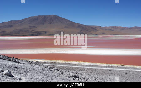 Laguna Colorada - Reserva nacional de fauna andina Eduardo Abaroa - Deserto do Lipez - Departamento de Potosi - Provincia Sud Lipez - Bolivia ATENÇÃO: Stock Photo