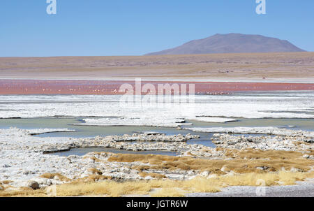 Laguna Colorada - Reserva nacional de fauna andina Eduardo Abaroa - Deserto do Lipez - Departamento de Potosi - Provincia Sud Lipez - Bolivia ATENÇÃO: Stock Photo