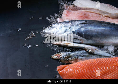 Variety of raw fresh fish. Whole tuna and herring, fillet of salmon, cod, red fish on crushed ice over dark wet metal background. Close up with space. Stock Photo