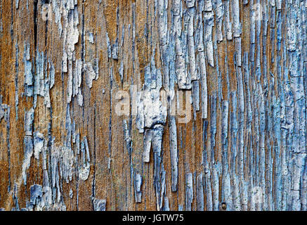 Backgrounds and textures: surface of very old painted wooden plank, abstract close-up shot Stock Photo