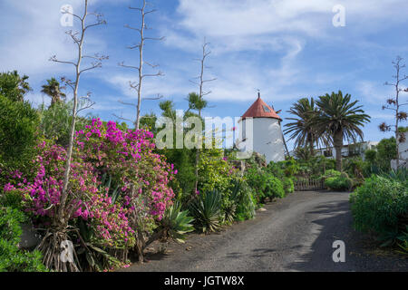 Windmill at agriculture museum Museo Agrícola El Patio, Tiagua, province Teguise, Lanzarote, Canary islands, Europe Stock Photo