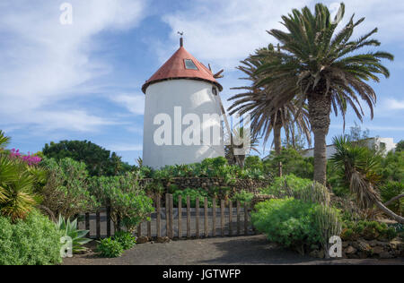 Windmill at agriculture museum Museo Agrícola El Patio, Tiagua, province Teguise, Lanzarote, Canary islands, Europe Stock Photo