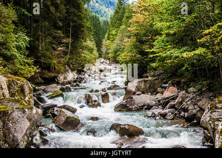 Scene from Adamello Brenta Park Trentino Alto Adige Italy. Wild scene in autumn with Sarca river inside the forest Stock Photo