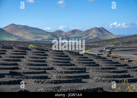 Volcanic vineyards at La Geria, Lanzarote island, Canary islands, Spain, Europe Stock Photo