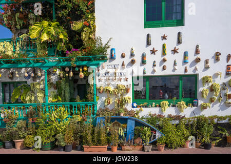 Residential house with plants decoration, Punta Mujeres, fishing village north of Lanzarote island, Canary islands, Spain, Europe Stock Photo