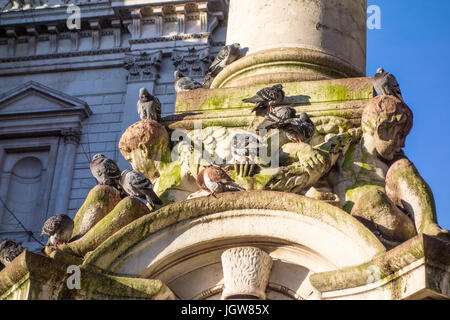 London pigeons (columbidae) roosting on a monument in St Paul’s Churchyard, City of London, UK Stock Photo