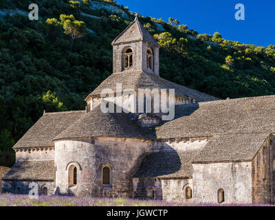 Abbaye de Sénanque, Gordes, Vaucluse, France 84 Stock Photo