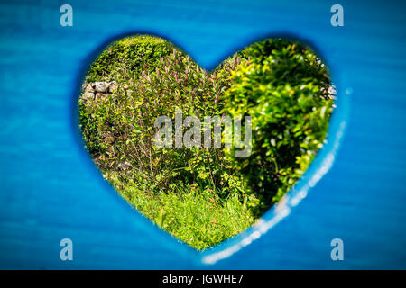 hole in a wooden wall background Stock Photo