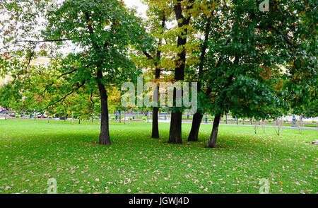 Autumn trees at the park near Kremlin Palace in Moscow, Russia. Stock Photo