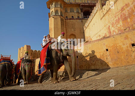 Elephants and Mahouts taking tourists up to the Amber Fort Stock Photo