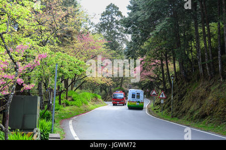 Chiayi, Taiwan - Mar 14, 2015. Buses carrying tourists to Alishan National Park in Chiayi, Taiwan. Alishan, Mount Ali, is Taiwan most-visited national Stock Photo