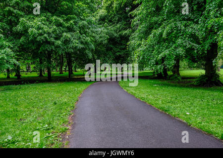 winding summer wirral woodland footpath leafy alamy cardiff bute wales path trees through park