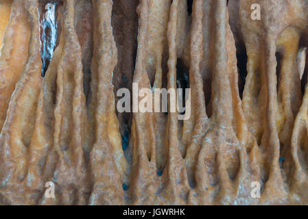 Texture stone of natural or stalactites abstract for design. Stock Photo