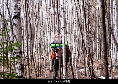 Hiker hiking through trees in forest, Bolshoy Ural, Sverdlovsk, Russia, Europe Stock Photo