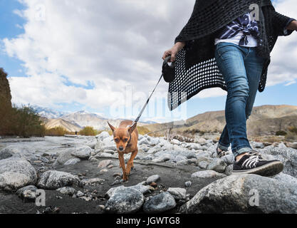 Neck down view of woman walking dog on rocky riverbed