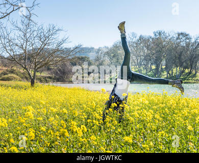 Mature woman doing cartwheel in field of wild flowers, Paso Robles, California, USA Stock Photo