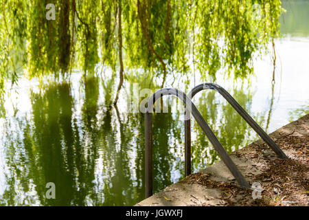 An emergency escape ladder on the dock of a river with a weeping willow tree in the background. Stock Photo