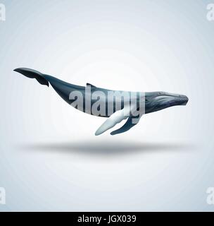 Blue whale isolated on white background Stock Vector
