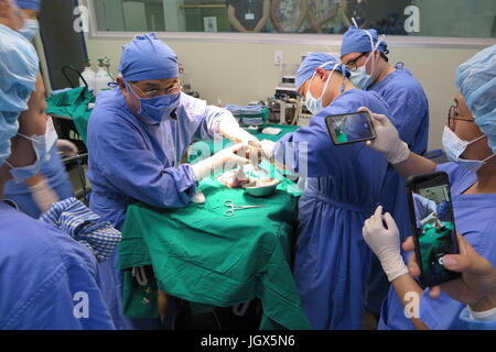 Seoul, Soputh Korea. 26th June, 2017. A cloned dog is removed from its 'loan mother' during a Caesarian operation in the laboratory of the Sooam Biotech Research Foundation in Seoul, Soputh Korea, 26 June 2017. Photo: Dirk Godder/dpa/Alamy Live News Stock Photo