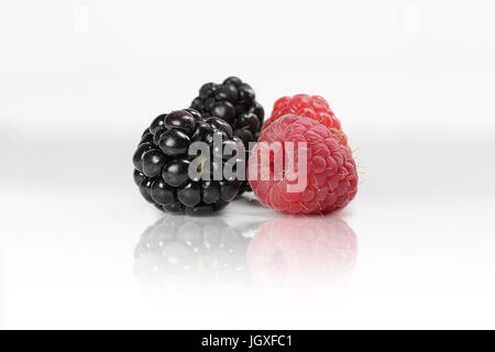 Two blackberries and two rapsberries on white background, reflected on a glass, on white background. Stock Photo