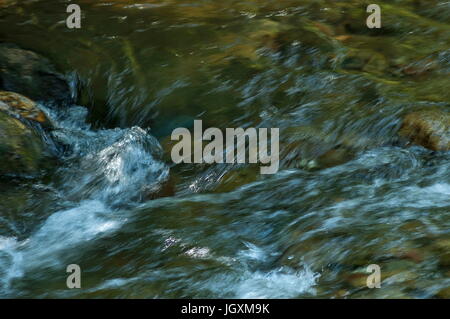 Beautiful motion blurred water stream landscape in the summer close up, Central Balkan mountain, Stara Planina,   Bulgaria Stock Photo