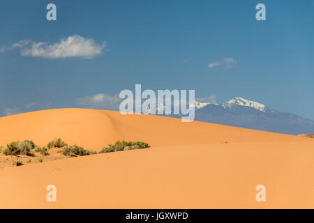 Sand Dunes in the Painted Desert with view towards the San Francisco Peaks, nothern Arizona, USA Stock Photo