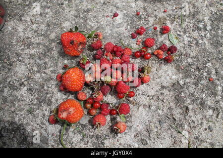 ripe sweet garden strawberries and raspberries lay on stone surface Stock Photo