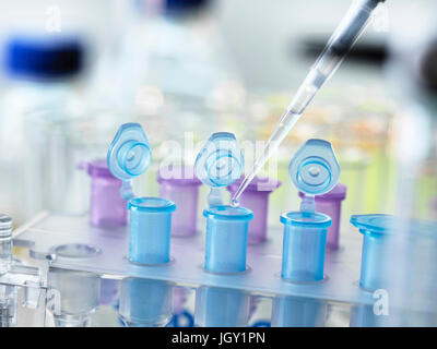 Pipetting sample into vial for testing in the laboratory Stock Photo