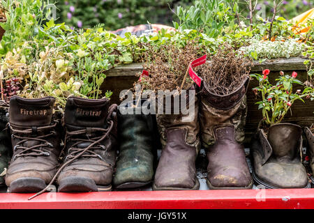 London, United Kingdom – June 29, 2017: Stock Photo