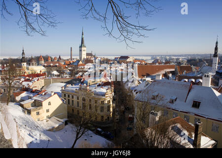 Tallinn, Estonia: the Lower Town (All-Linn) from Kohtuotsa viewpoint in Toompea Stock Photo