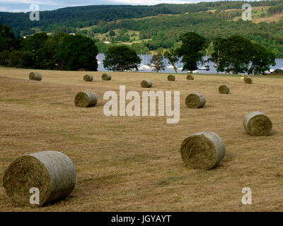 Round straw bales on field next to Coniston Water, The Lake District, Cumbria, UK Stock Photo