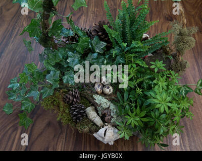 Looking down at a fairy garden in a basket. Stock Photo