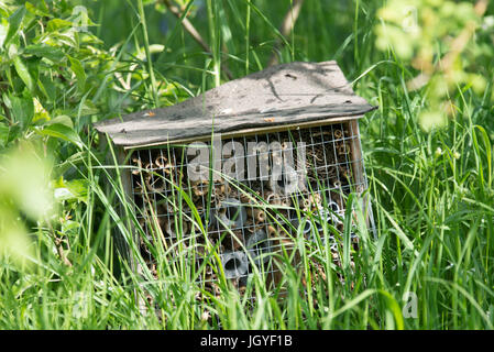 Small bug hotel positioned in a field Stock Photo