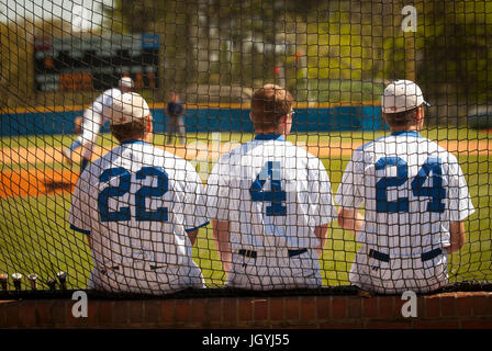 Three baseball players on the bench at a college baseball game watching the pitcher. Stock Photo