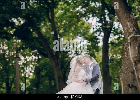 wedding couple Park walk suit Sunny outdoors Stock Photo - Alamy