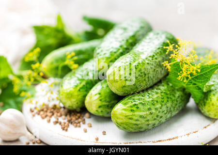 Fresh cucumbers and ingredients for conservation. Preparation marinated salted cucumbers with herbs and salt. Stock Photo