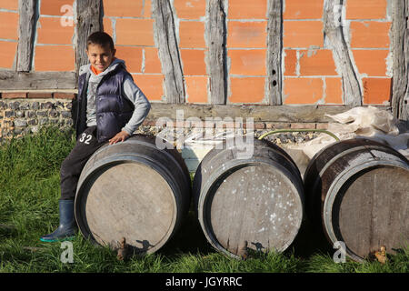 Boy sitting on barrels. France. Stock Photo