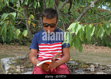 Boy reading under a tree. France. Stock Photo