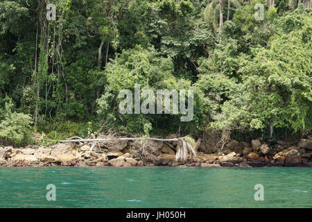 Beach, Landscape, Ilha Grande, Rio de Janeiro, Brazil Stock Photo