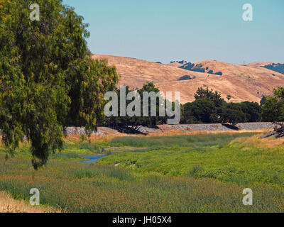 Alameda Creek Regional Trail, Union City, CA USA Stock Photo