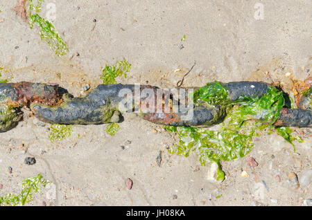 Rusty mooring chain for boats on the beach at Hope Cove in Devon Stock Photo
