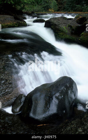 Lower Lewis River Falls Trail in WA Stock Photo - Alamy