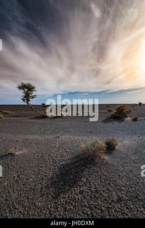 landscape of black desert near Merzouga, Morocco Stock Photo