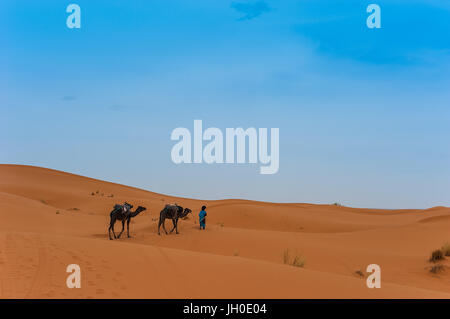Camel caravan in Erg Chebbi Desert, Sahara Desert near Merzouga, Morocco Stock Photo