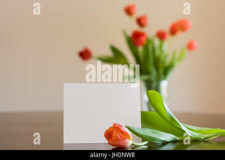 Tulips sit in the background, blurred, with a single in-focus tulip resting in front of a blank notecard on a table. Stock Photo