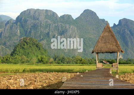 Rice fields with stunning mountain back drop. Laos. Stock Photo