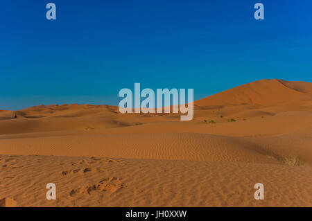 Camel caravan in Erg Chebbi Desert, Sahara Desert near Merzouga, Morocco Stock Photo
