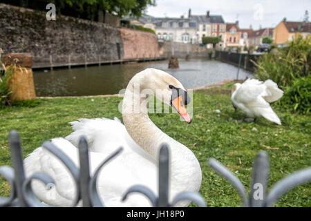 BELLEME,SMALL VILLAGE OF CHARACTER,(61) ORNE,LOWER-NORMANDY,FRANCE Stock Photo