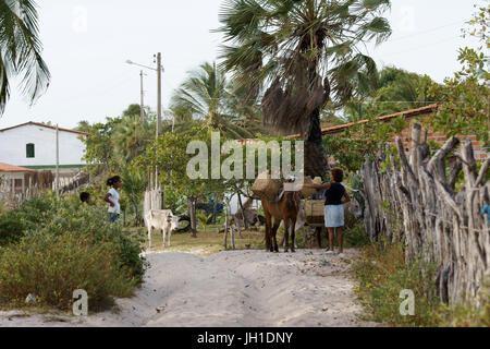 People, animals, Lençois, Atins. Maranhão, Brazil Stock Photo